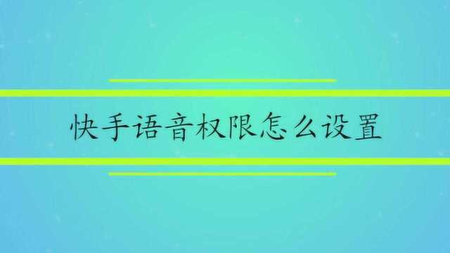 快手语音权限怎么设置