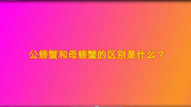 公螃蟹和母螃蟹的区别是什么?