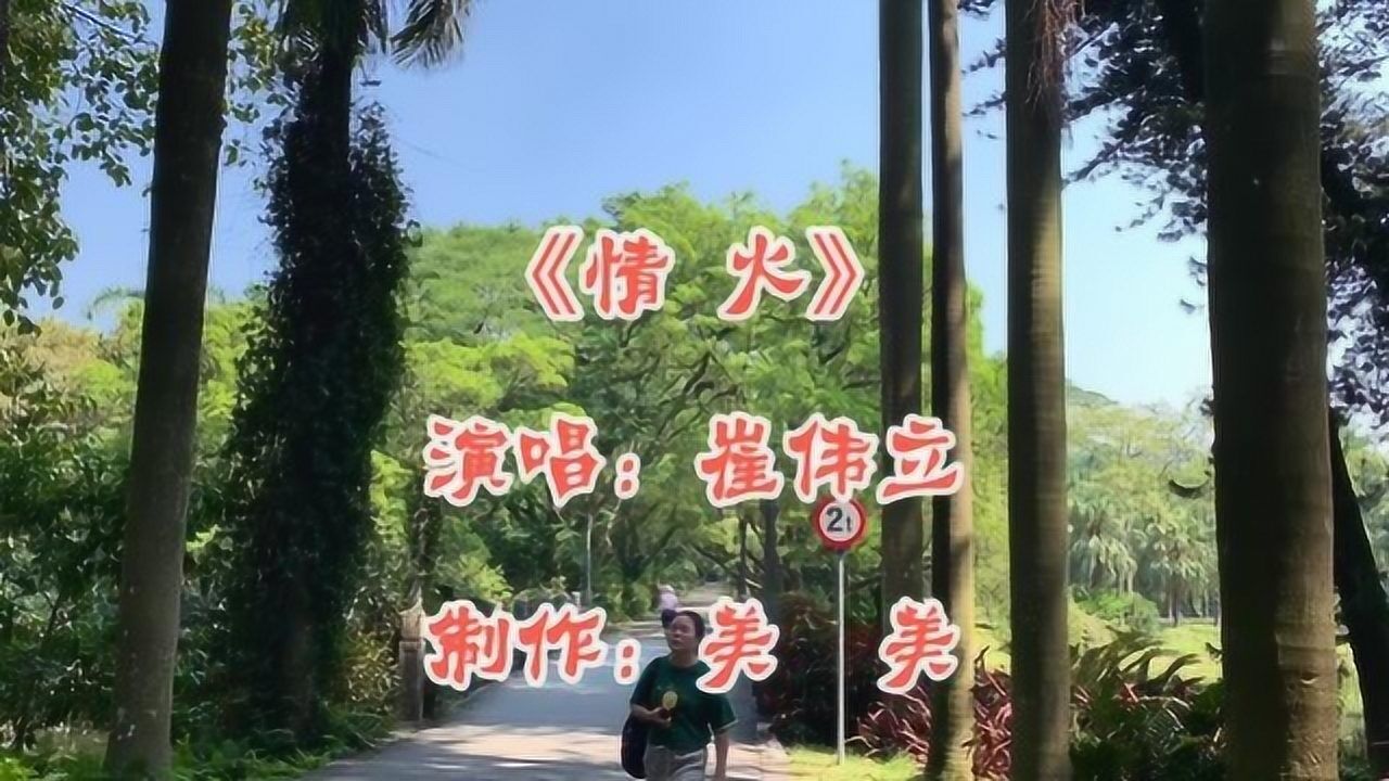 一首网络伤感情歌情火dj版崔伟立原唱的真好听