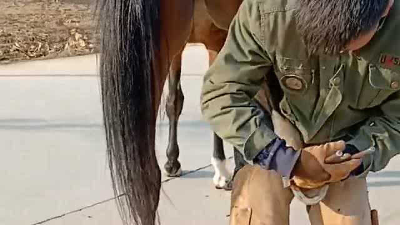 修马脚大师厉害不捆绑就能完成这才是真正的高手