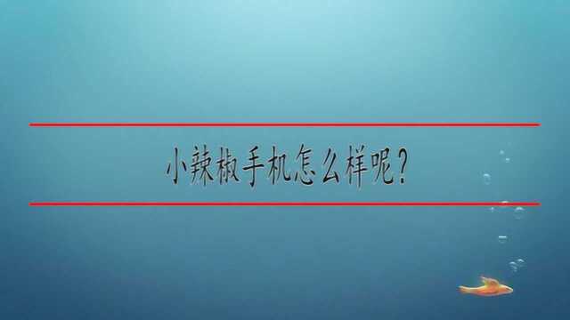 小辣椒手机怎么样呢?