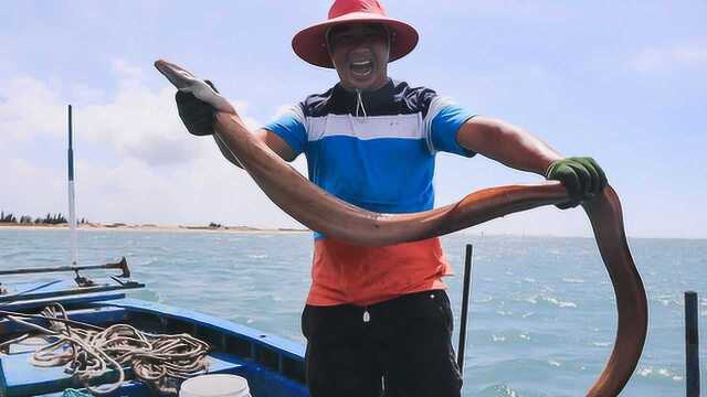 玉平出海捕到深海巨鳗,凶猛异常差点跳下海,咬一口可不得了