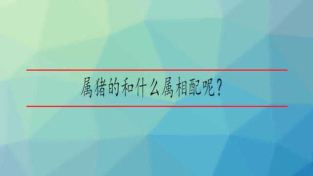 属猪的和什么属相配呢?