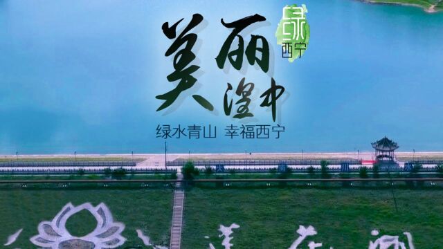 瞒不住了!西宁周边隐藏了一片“秘密花园”!拍照打卡必去!