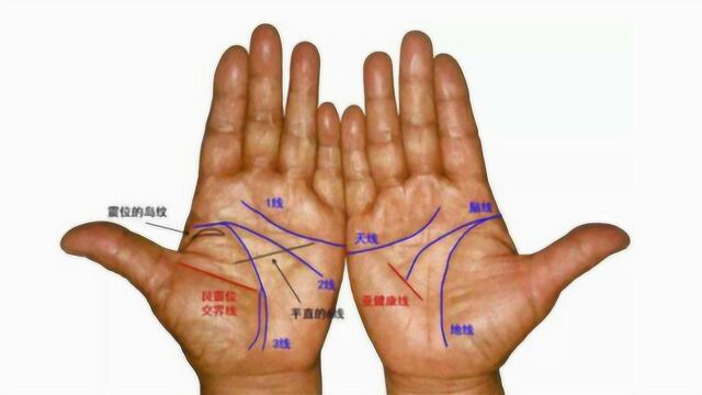 手掌有岛纹到底代表了什么?事业线有岛纹天生劳碌命,有你吗?