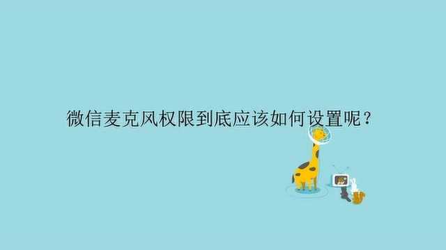 微信麦克风权限到底应该如何设置呢?