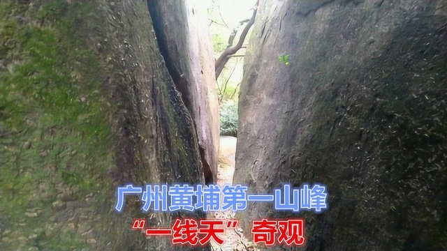 深入实拍广州黄埔区第一山峰,龙头山森林公园“一线天”双石头