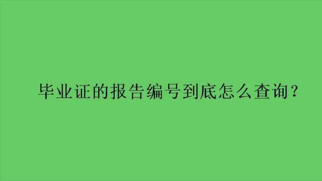 毕业证的报告编号到底怎么查询?