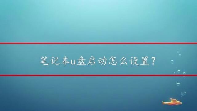 笔记本u盘启动怎么设置?