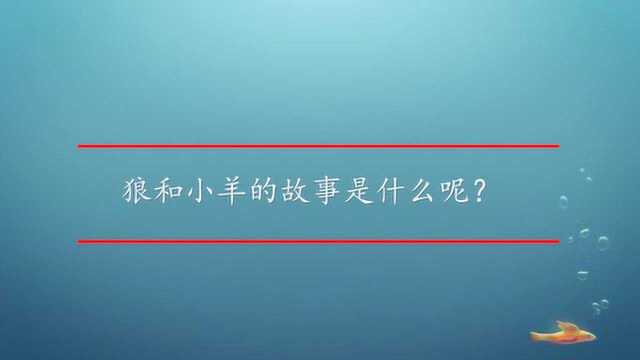 狼和小羊的故事是什么呢?