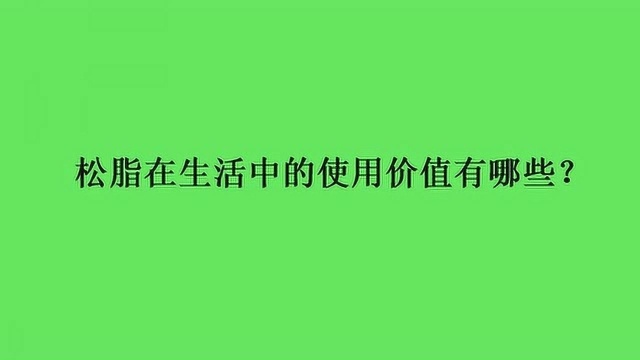 松脂在生活中的使用价值有哪些?