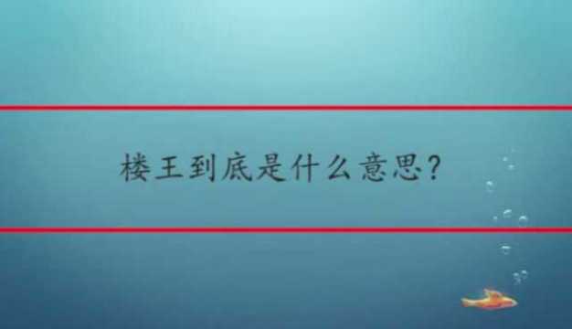 楼王到底是什么意思?