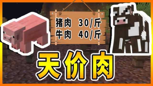 我的世界国家建设44:肉类涨价,小镇自己建设免费肉厂!