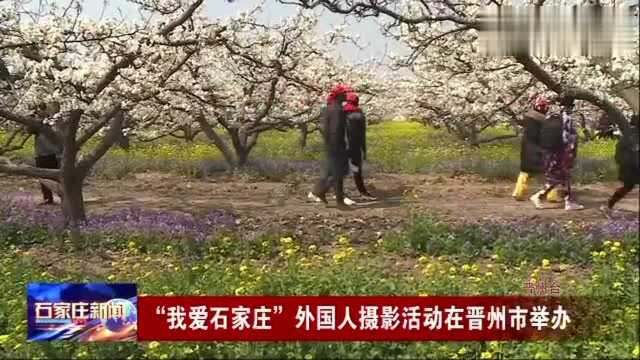 “我爱石家庄”外国人摄影活动在晋州市举办