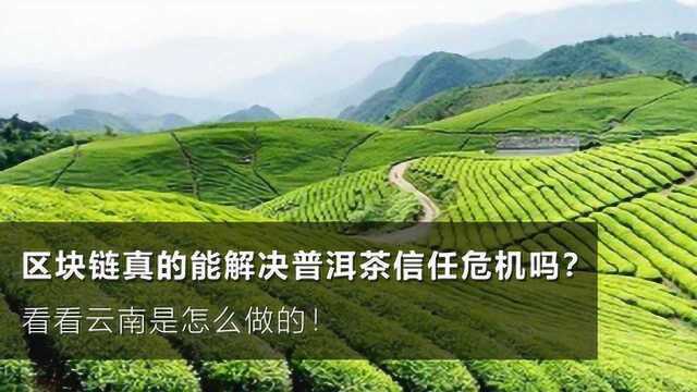 紧贴国家大政方针!一文看懂云南如何运用区块链布局普洱茶产业生态