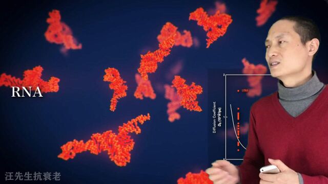 细胞质内的原子级别的分子行为模拟动画 @ 汪先生抗衰老