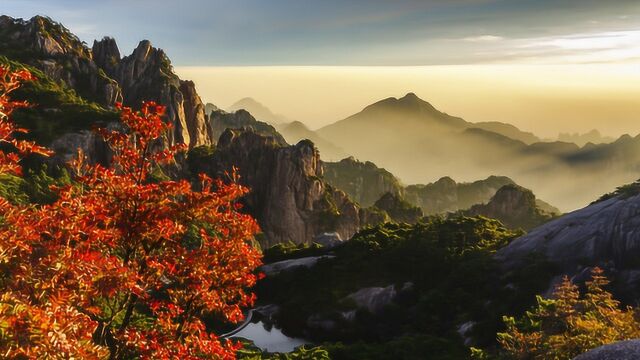 我国两座名山互为邻居,黄山与庐山,它们谁的名气更大?