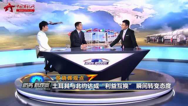 专家:土耳其“朝令夕改”即可保全利益也可表明立场