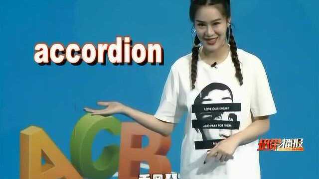 《婷英语》——accordion