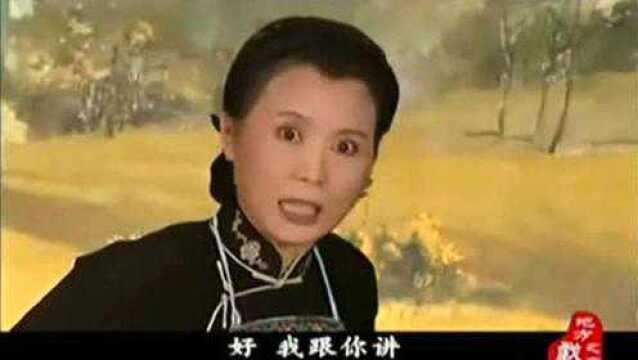 黄梅戏《恶婆婆》