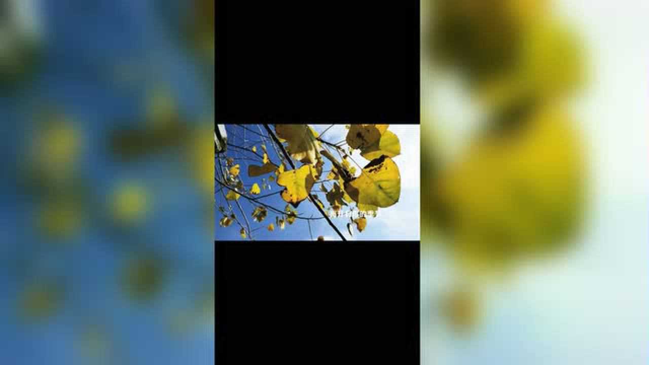 离开有你的季节 腾讯网