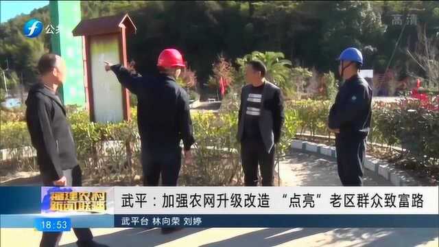 武平:加强农网升级改造“点亮”老区群众致富路