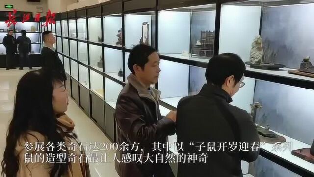 武汉赏石迎春艺术展在汉展出,鼠造型奇石吸睛