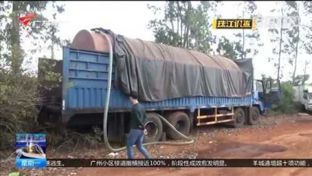 湛江雷州联合执法雷霆出击,防止“黑油点”死灰复燃