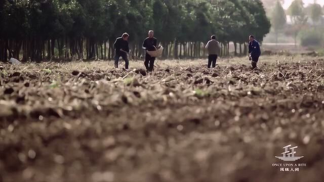 《风味人间》奠定南米北面的格局,原来是这样做的