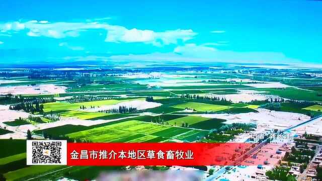 金昌市推介本地区草食畜牧业