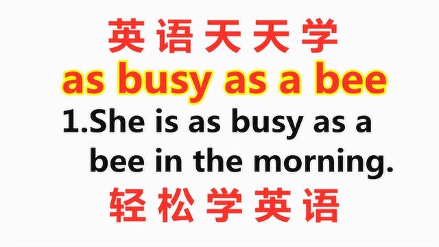 学英语:老说的as busy as a bee啥意思?像蜜蜂一样忙?