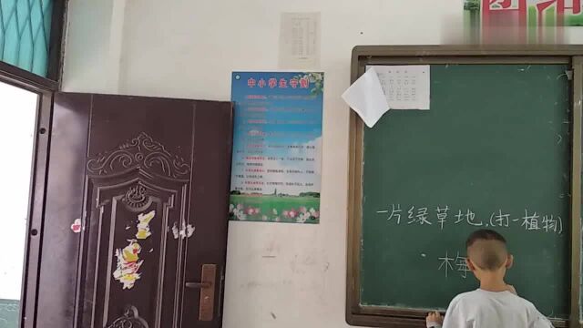 农村老师问:一片绿草地,打一植物是什么?小男孩给你答案