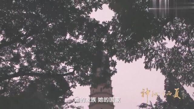 纪录片:深处后宫的没藏太后无心权力,她享受着爱情的滋养