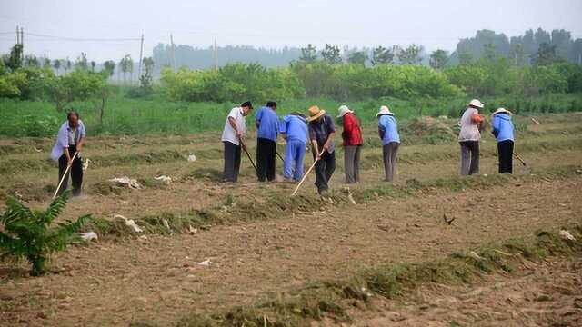 农村土地退出能拿补贴了,需要这几个条件,你知道吗