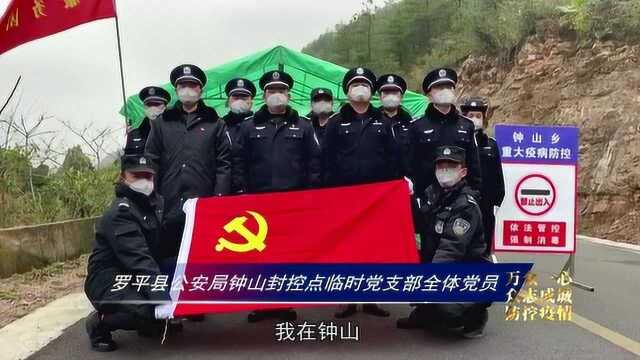 云南罗平新闻