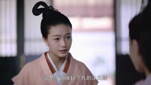 《三生三世枕上书》沐芸难道是沐风蝶?脖子上天生就有蝴蝶印记