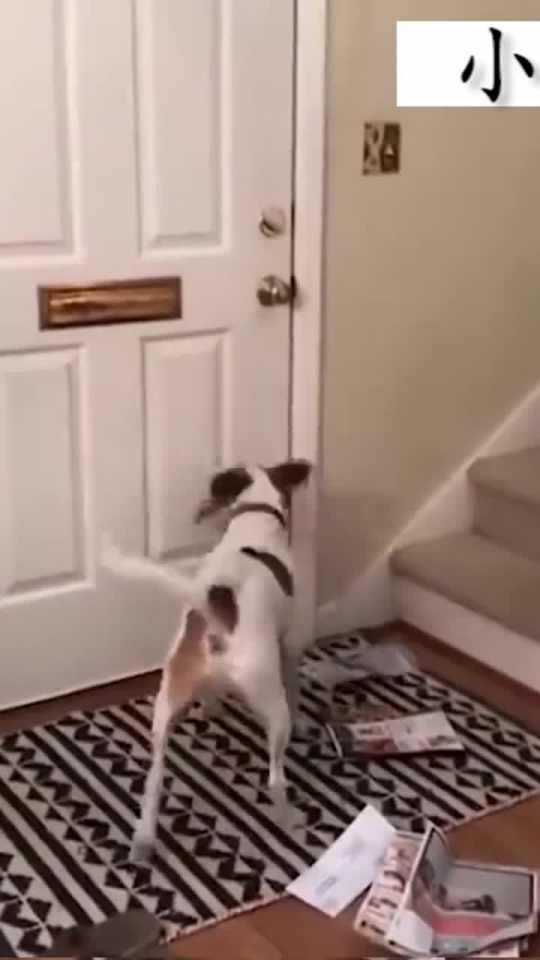 Thumbplayer Poster Plugin Image