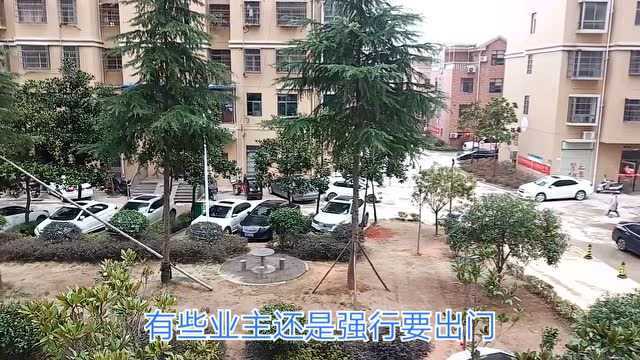 冠状病毒疫情期间,我宅在家搞互联网工作,不出门一样可以赚钱