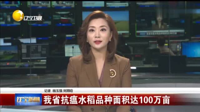 辽宁新闻我省抗瘟水稻品种面积达100万亩