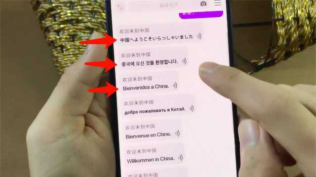 一款翻译神器,能把中文翻译成几十种语言,帮你轻松学习外语