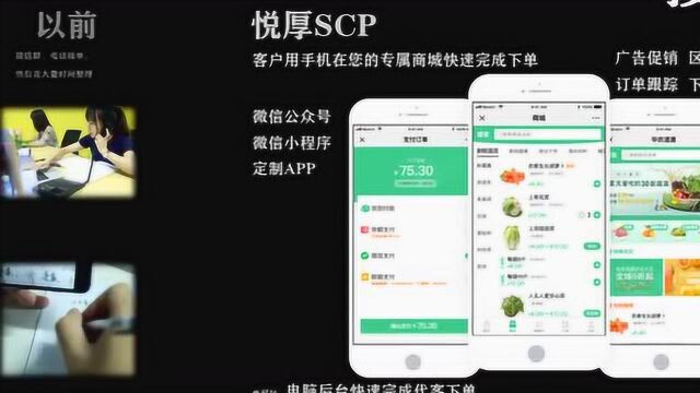 1分钟了解悦厚生鲜配送系统(悦厚SCP系统)