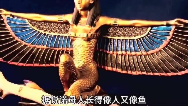 天狼星系人是真的吗?