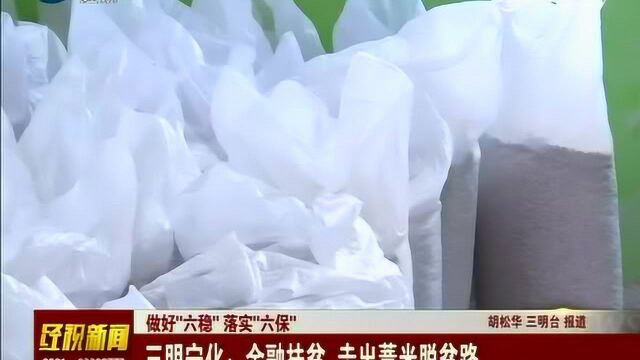 三明宁化:金融扶贫 走出薏米脱贫路