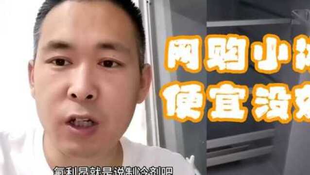 小伙儿网购小冰箱的一次上当经历分享,告诉你新冰箱如何使用,如何选购