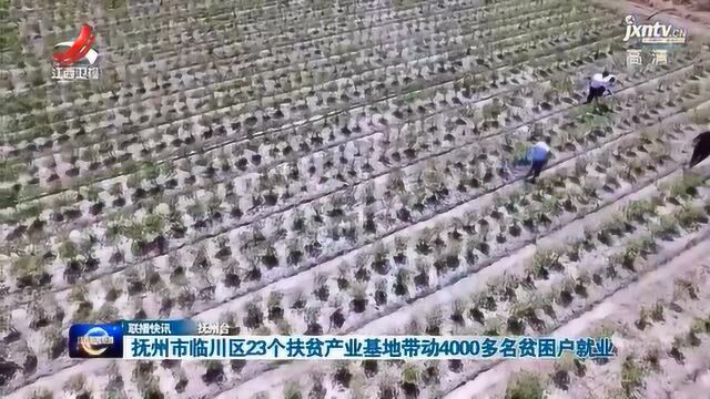 抚州市临川区23个扶贫产业基地带动4000多名贫困户就业