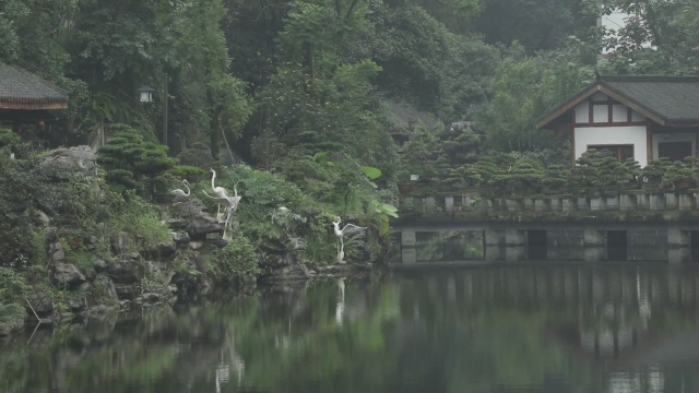 (电视通稿ⷥ›𝥆…ⷧ侤𜚩重庆:从十几块到几十万——韩庆和他的盆景致富经