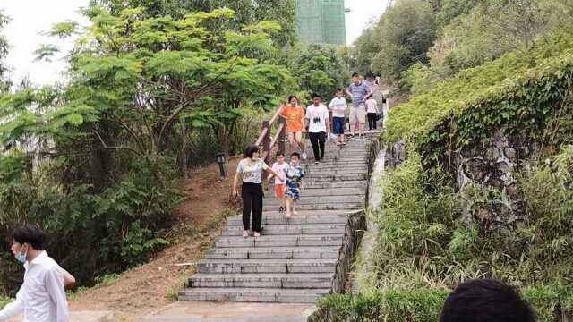 站在深圳燕子岭山上,俯瞰深圳坪山,美景尽收眼底