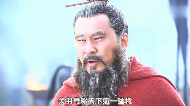 曹操说十个曹章也比不上一个徐晃,一句话便让徐晃肝脑涂地!