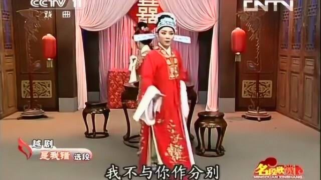 郑国凤《是我错》我的好夫人啊