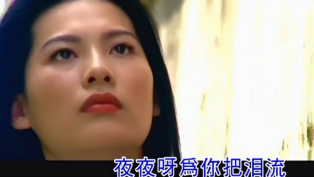 林翠萍 《相思豆》 KTV版